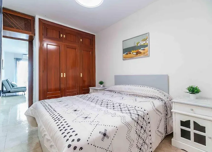 Apartment Consistorial